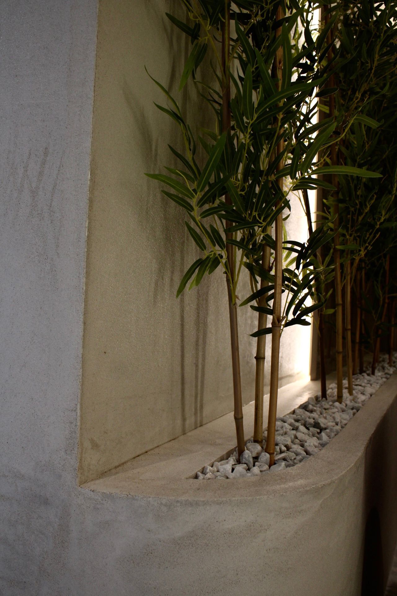 Tiges de bambou dans une jardinière avec des pierres blanches, contre un mur en béton, bien éclairé.