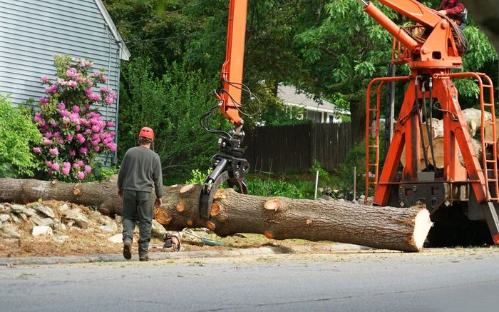 Man watches as a crane loads a large tree trunk on a street. Orange crane, green trees, and a house in the background.