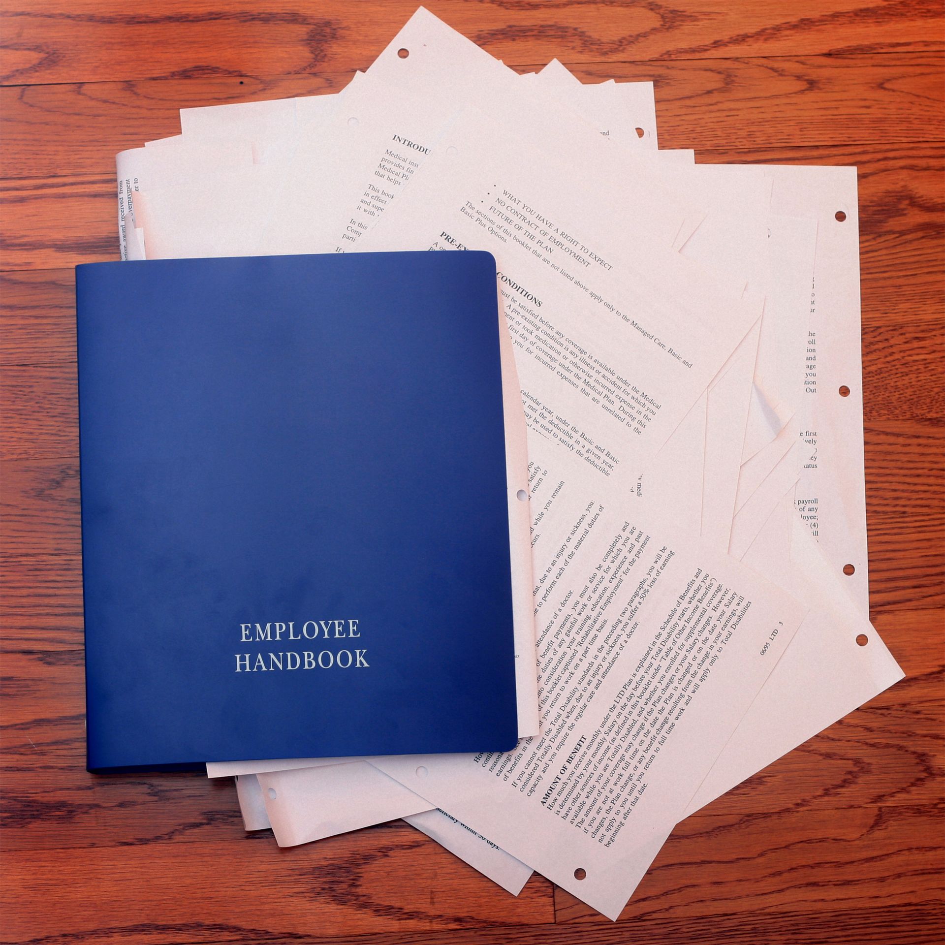 A blue folder labeled 'Employee Handbook' rests on printed documents on a wooden surface.