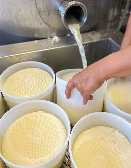 preparazione formaggi