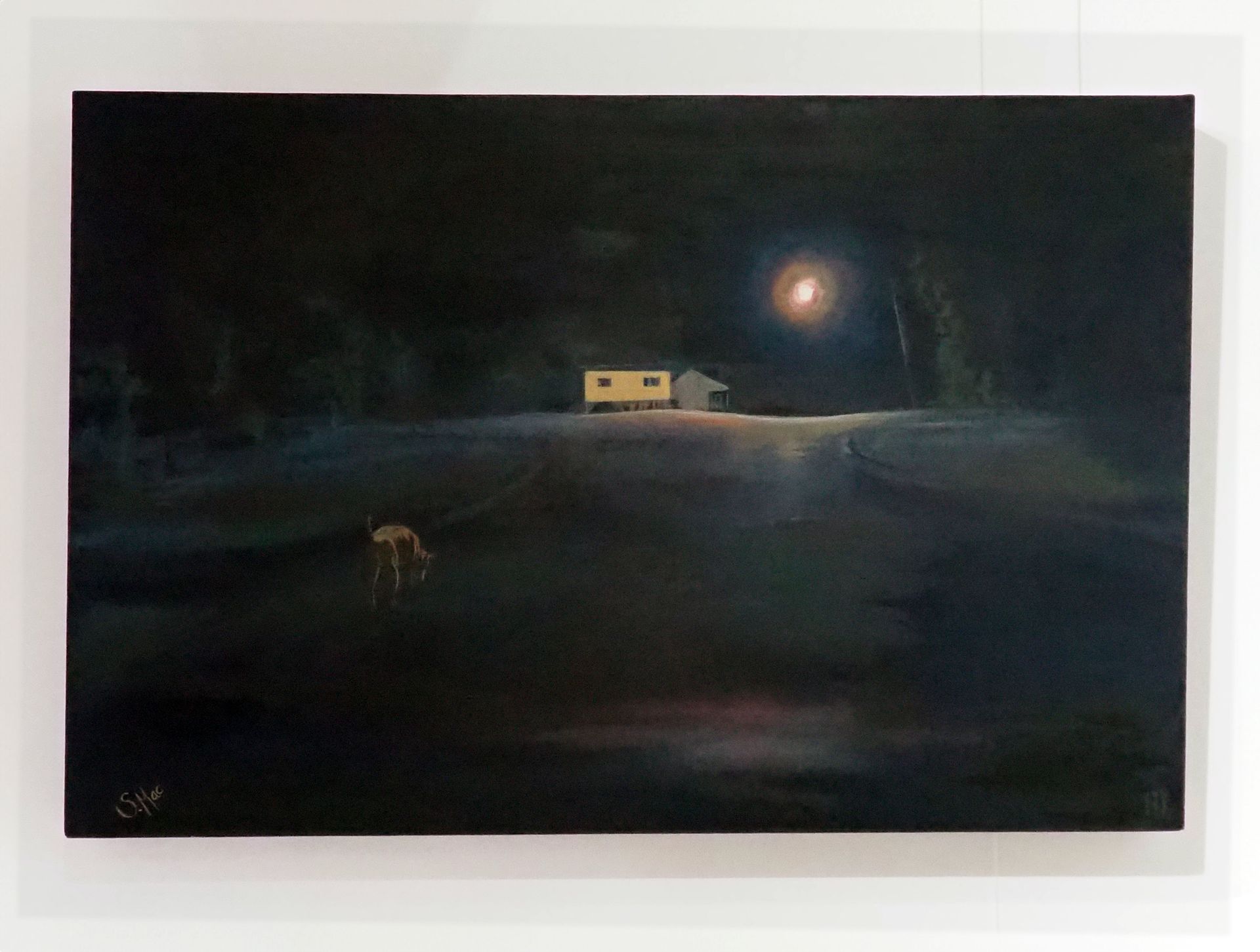 A dark landscape at night with a street light lit Queenslander house in the background, and a wondering dog (Alsatian cross German Pointer) with a long shadow in the foreground.