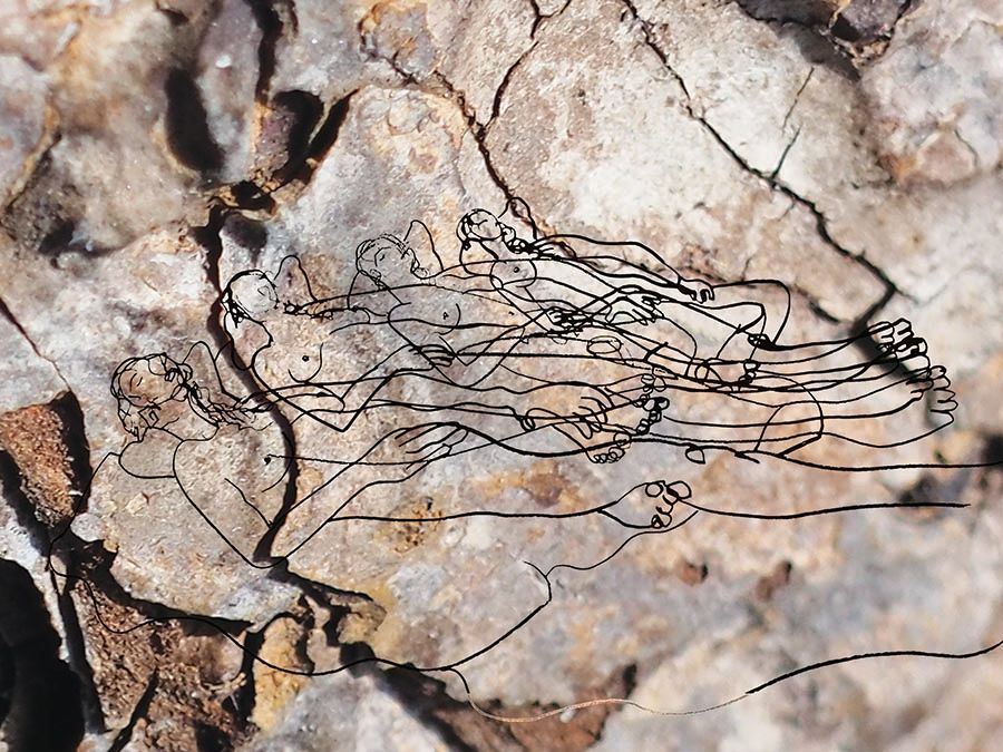 A photographic close up of a piece of bark. Imposed on the bark is simple black line drawings suggesting a naked women laid across the bark.