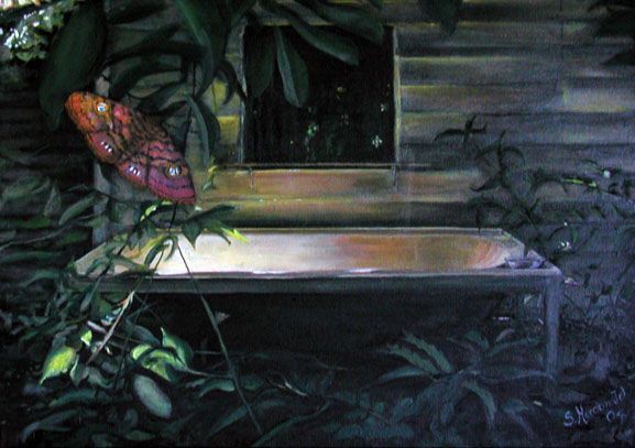 A painting of a bath against the outside of a wood slatted house. There is foliage with a butterfly surrounding the bath. The painting is dark apart from a glowing light reflected in the bath and some leaves highlighted near the purple pink butterfly.