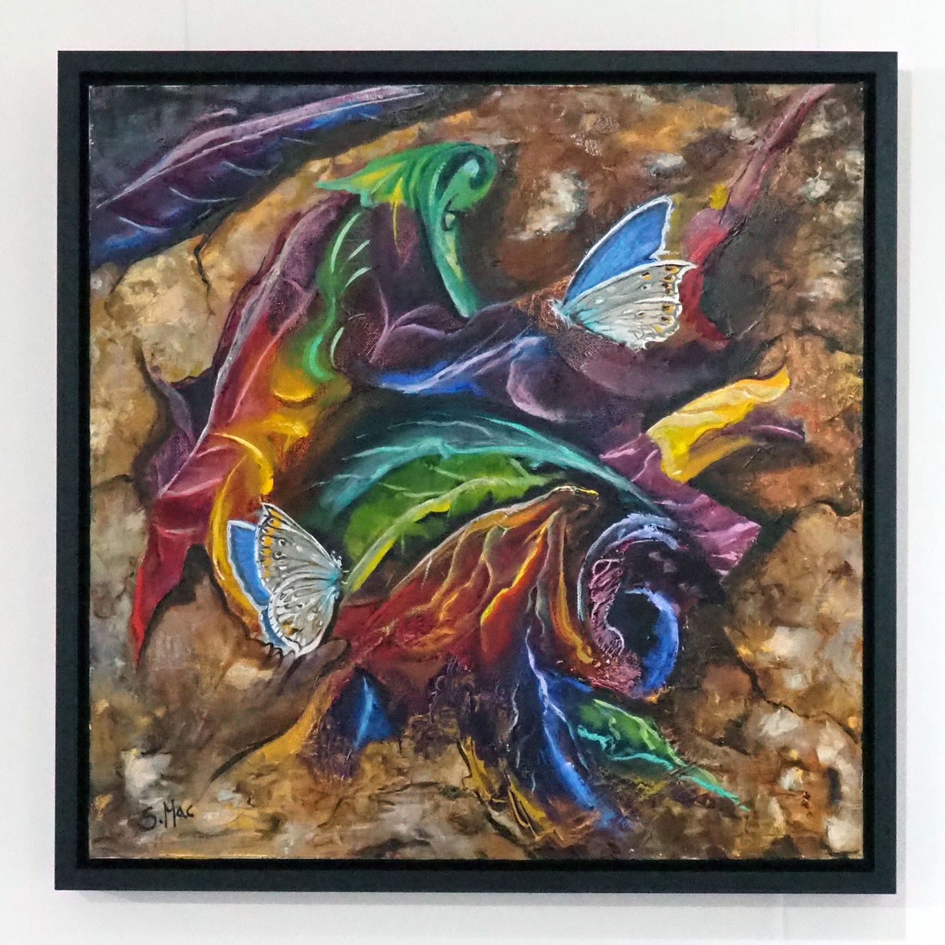 A square painting featuring, on a brown mottled background, robust veiny leaf shapes richly coloured purples, reds, yellows and blues. On these cabbage like leaves are two Common Blue  butterflies. Framed simply in black wood.  