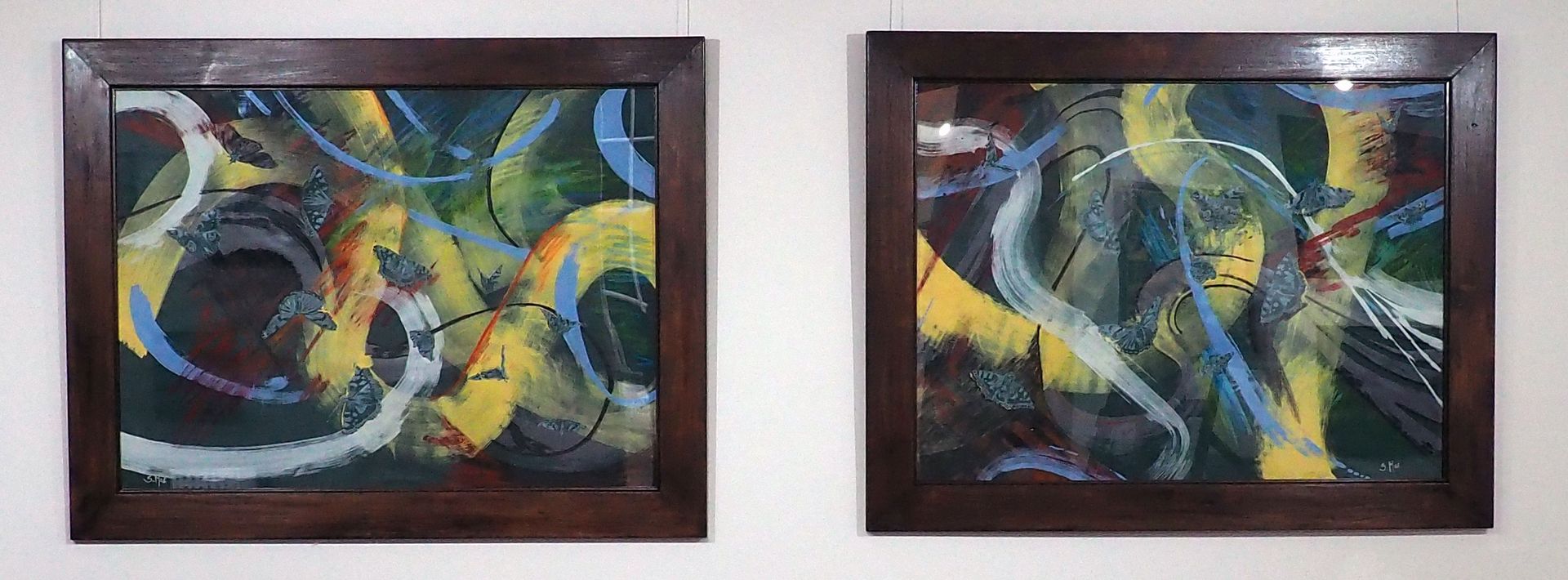 A photo of two large landscape dark wood frames. The framed images are behind perspex and there is a slight reflection. The images consist of large yellow, white and blue brush trails that flow from one frame to the other. The pieces belong together as a pair as they are 'joined' by the largest yellow brush trail . The background is dark green and there are around 14 delicate grey butterflies that move amongst the brush marks.