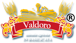 Pasta Valdoro - logo