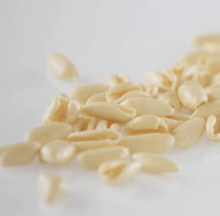 Primo piano di Cavatellini, una tipologia di pasta casereccia Valdoro.