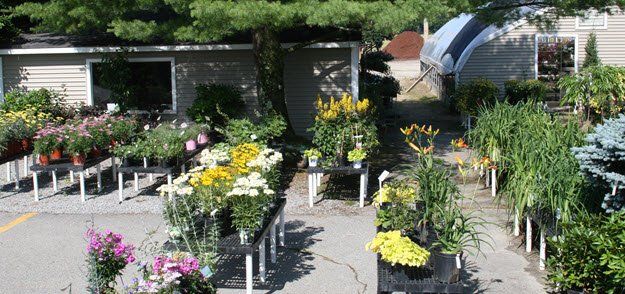 Garden Flowers and Plants — Concord, NH — Brochu Nursery And Landscaping