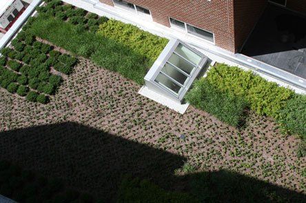 Lawn Installation — Concord, NH — Brochu Nursery And Landscaping