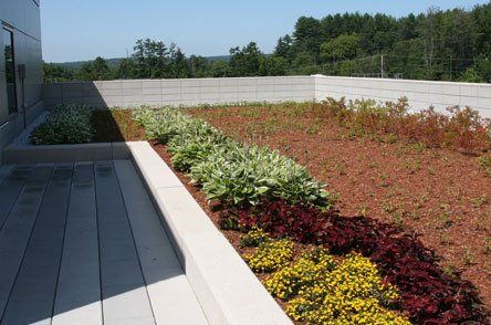 Beautiful Flowers — Concord, NH — Brochu Nursery And Landscaping