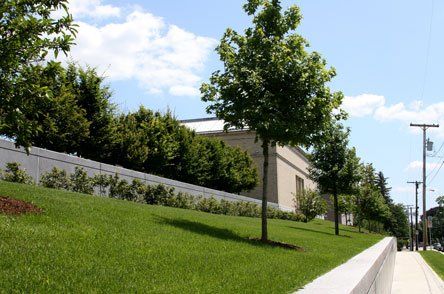 Tree Landscaping — Concord, NH — Brochu Nursery And Landscaping