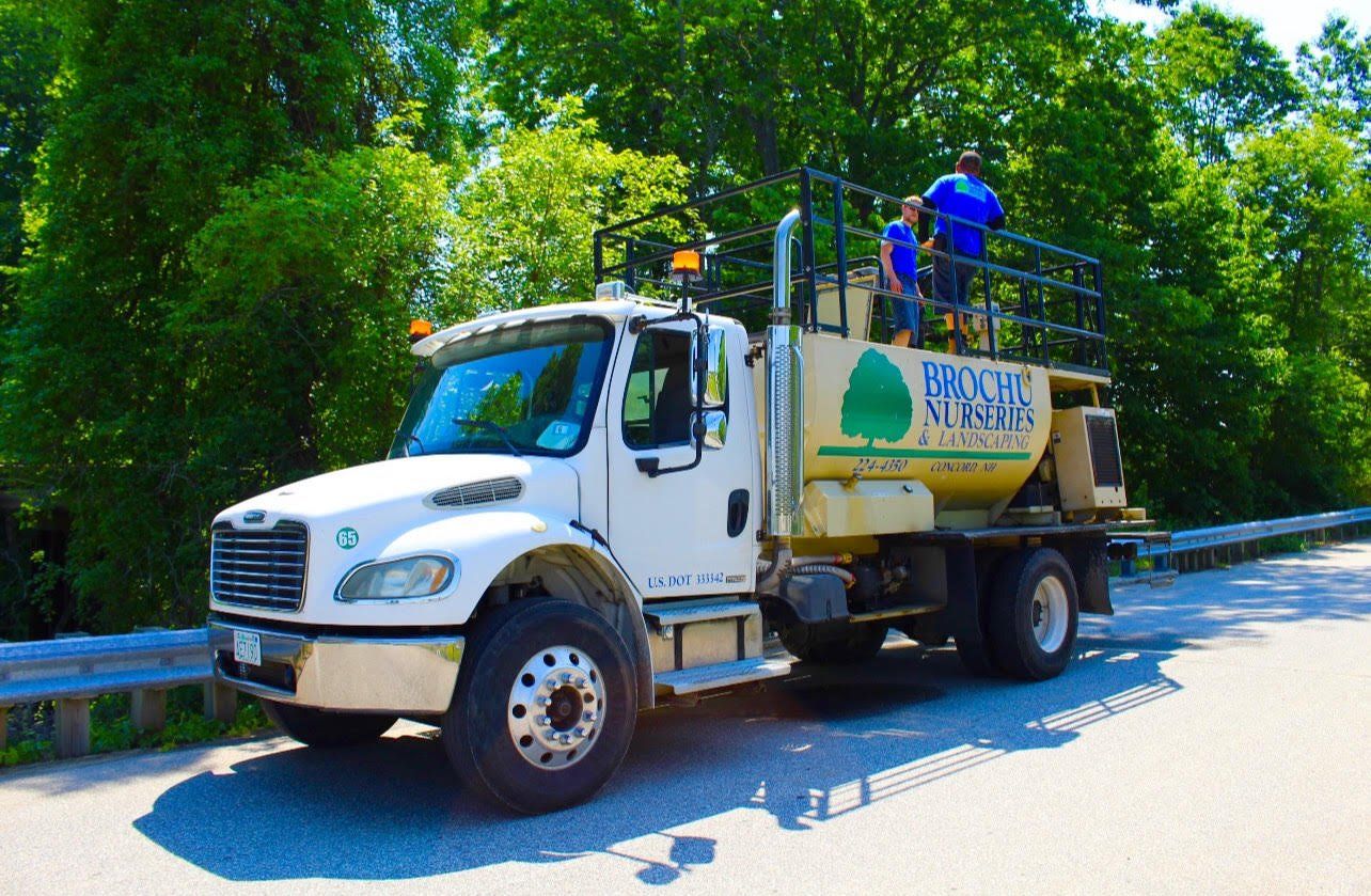 Bushes and Trees — Concord, NH — Brochu Nursery And Landscaping