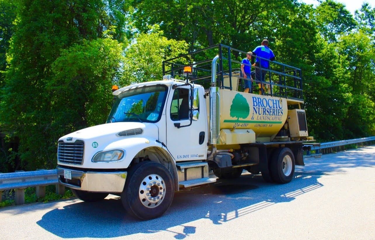 Bushes and Trees — Concord, NH — Brochu Nursery And Landscaping