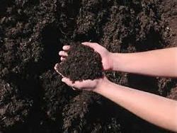 Organic Compost — Concord, NH — Brochu Nursery And Landscaping