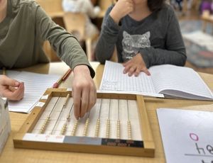 https://www.montessorinorthshore.org/montessori-materials-explained-the-flat-bead-frame
