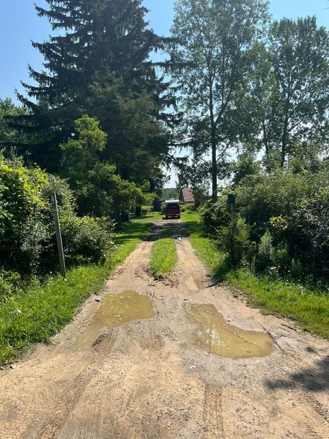 A car is driving down a dirt road surrounded by trees