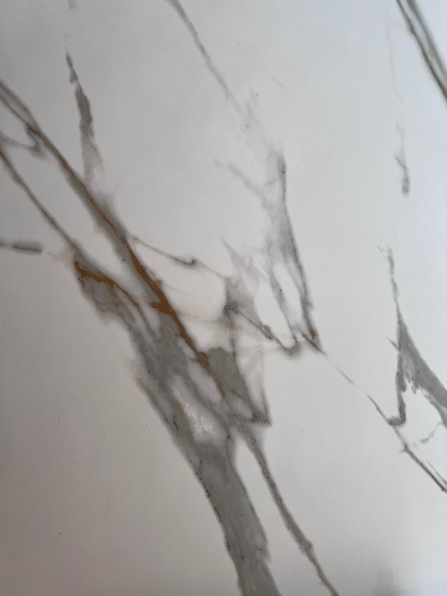 Immagine di un Tavolo Mary di Scavolini, esposto presso Scavolini store Bergamo.