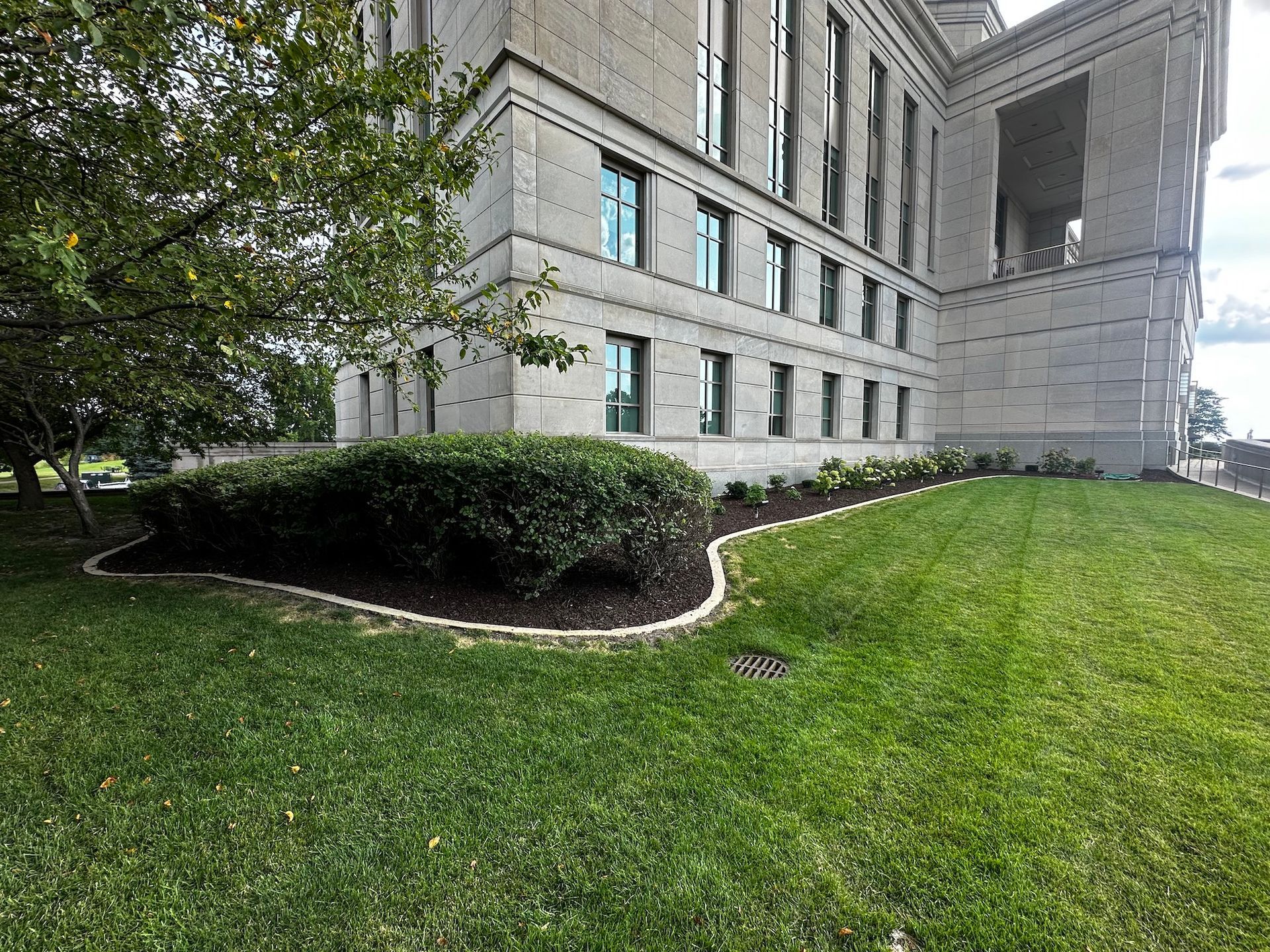 Commercial Landscape Maintenance