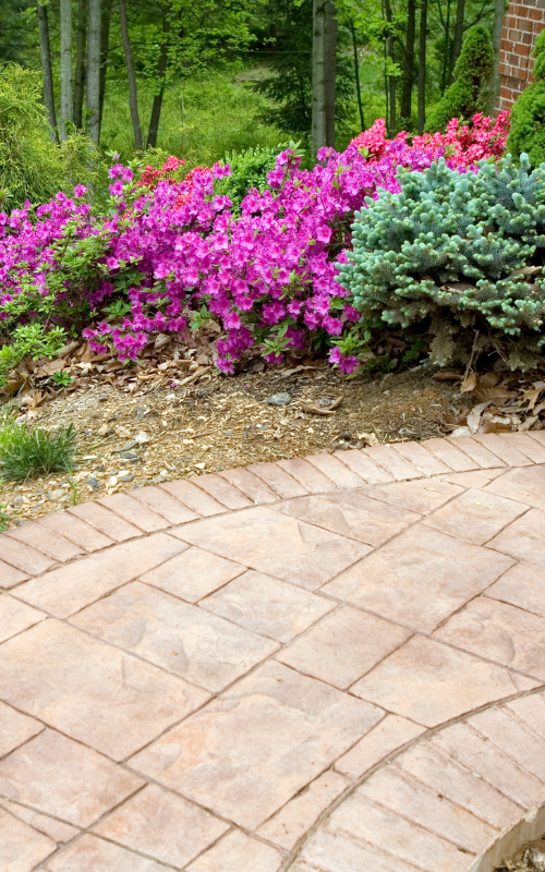 A brick walkway leading to a garden filled with purple flowers and trees.