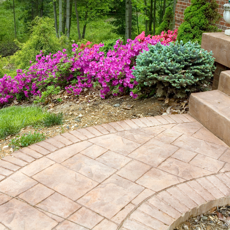 A brick walkway with purple flowers in the background