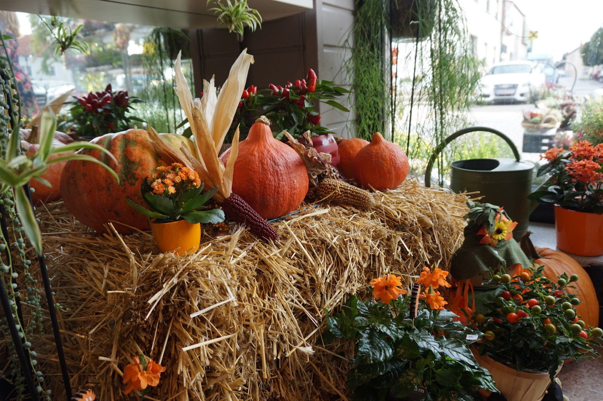 Blumen & So Ihr Blumenladen in Sollenau & Leobersdorf