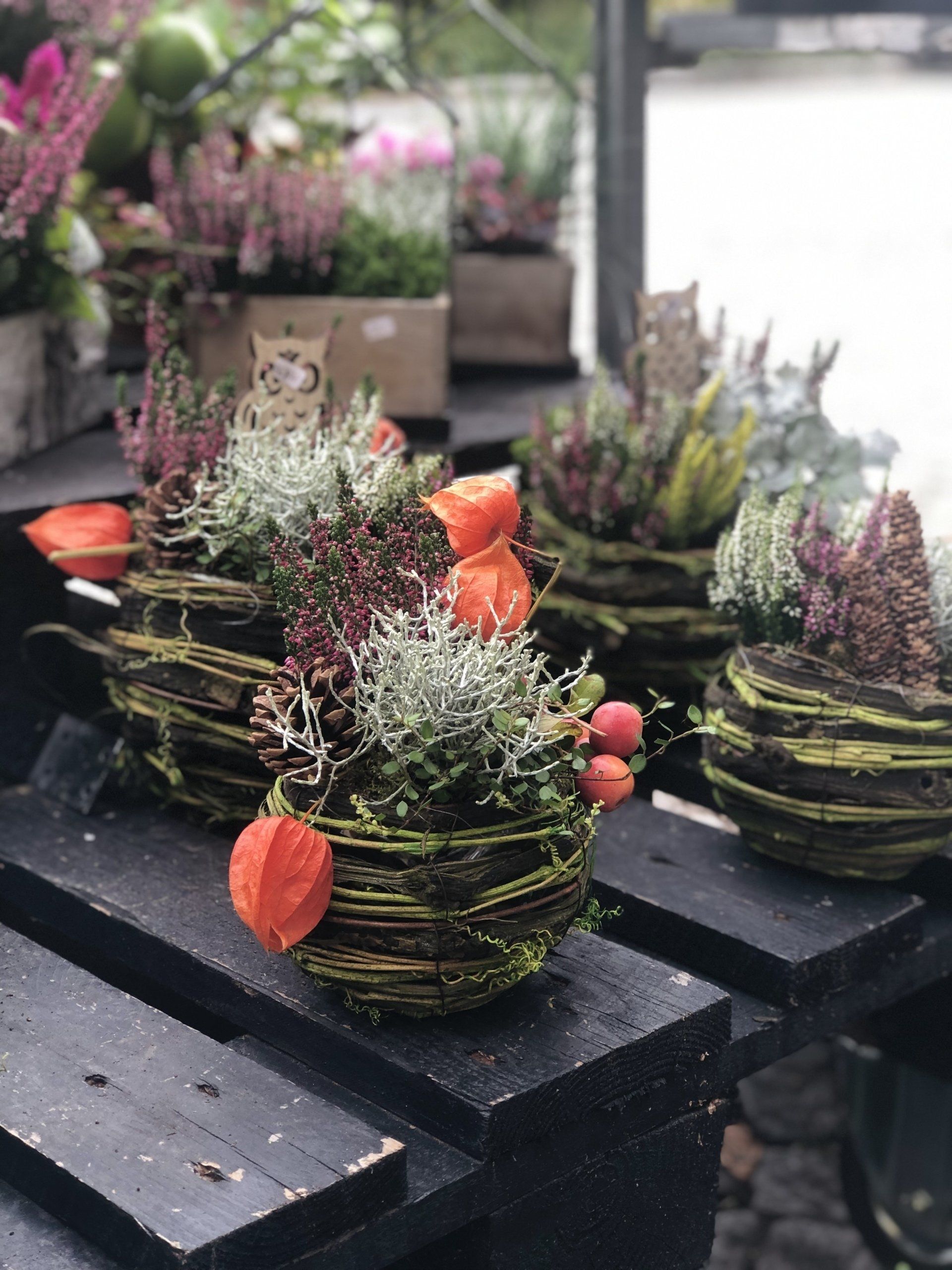 Blumen & So Ihr Blumenladen in Sollenau & Leobersdorf