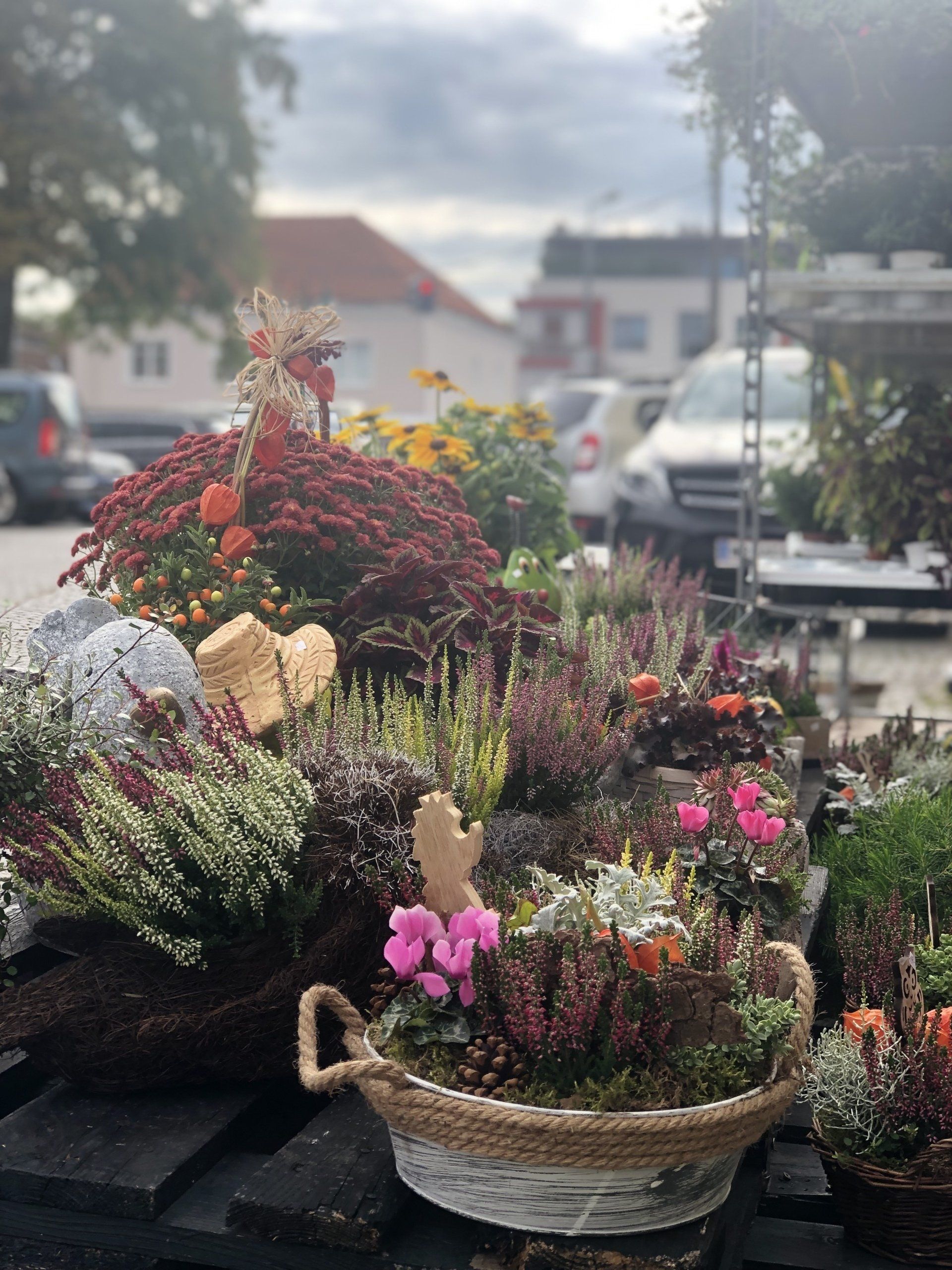 Blumen & So Ihr Blumenladen in Sollenau & Leobersdorf