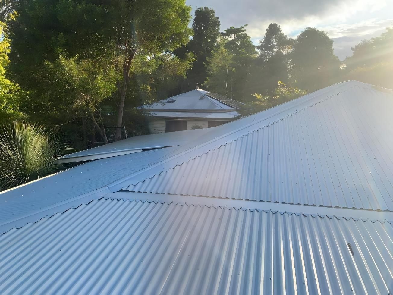 White Corrugated Metal Roof With Trees — Blue Sky Roofing NSW In Mullumbimby, NSW