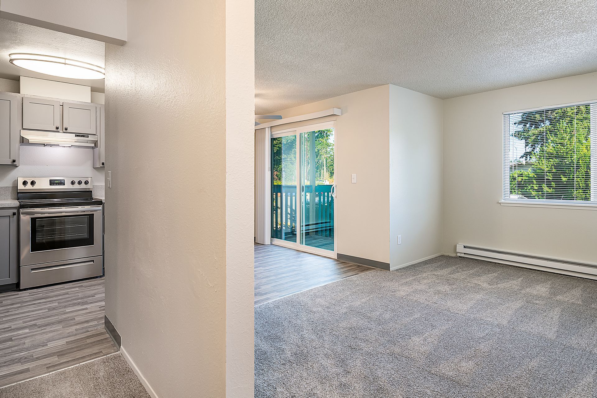 Photo showing the kitchen on one end of a wall and the living room on a nother
