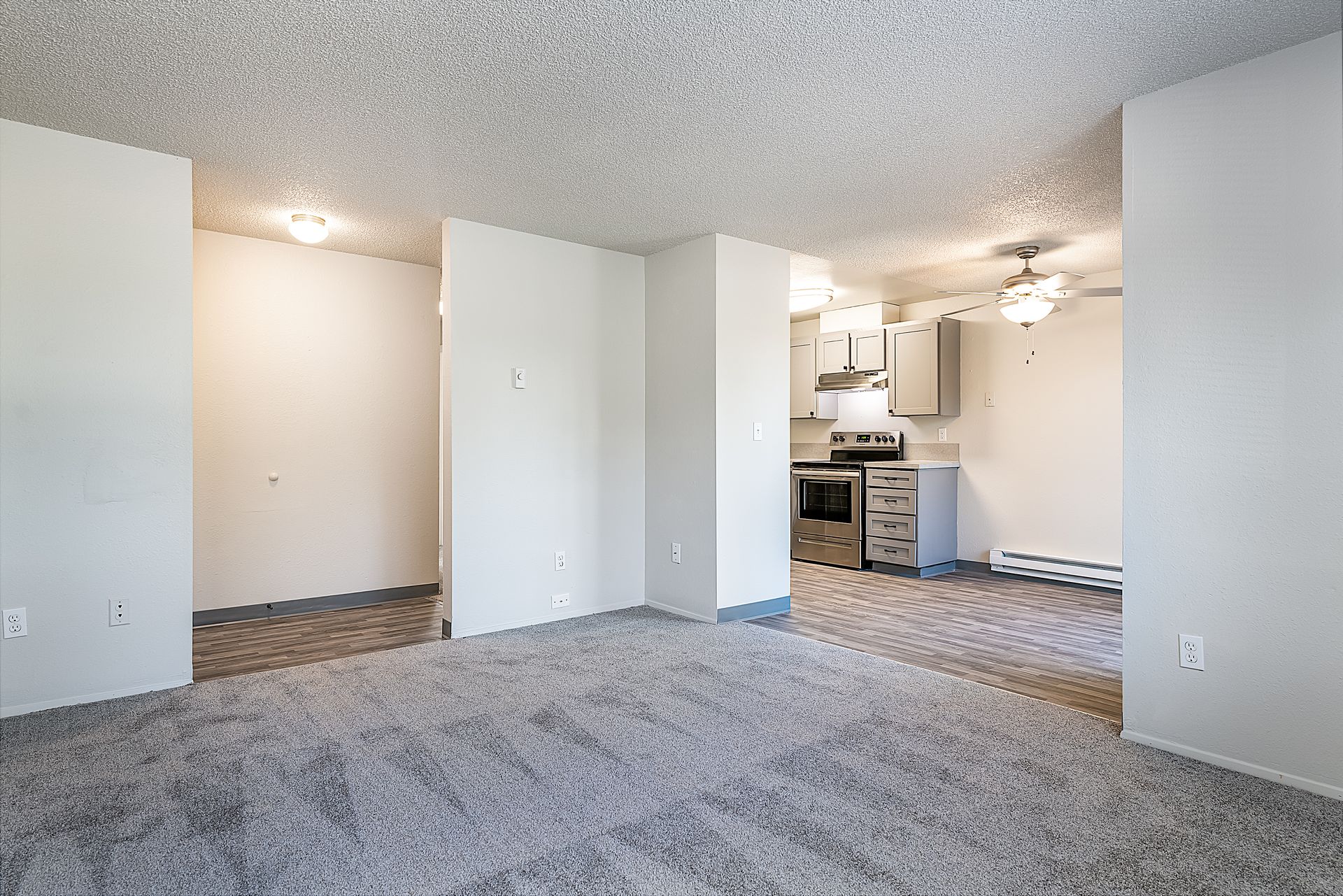 Photo showing the carpeted living room space