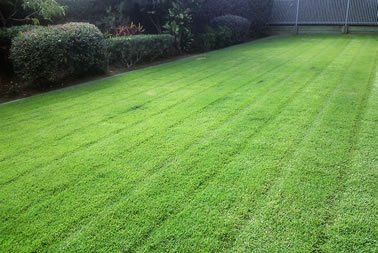 Tennyson - Garden  Makeover