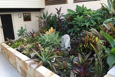 Garden and Lawn Renovation