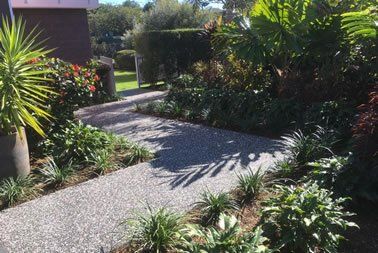 Toowong - Pre Sale Garden Makeover