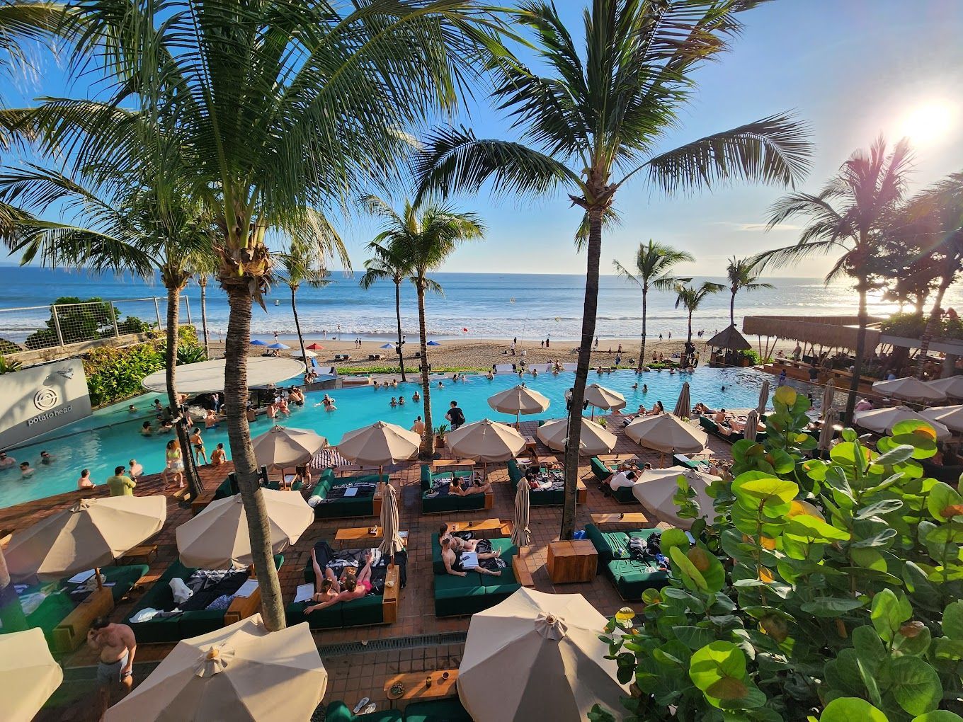 A swimming pool surrounded by palm trees and umbrellas next to a beach.