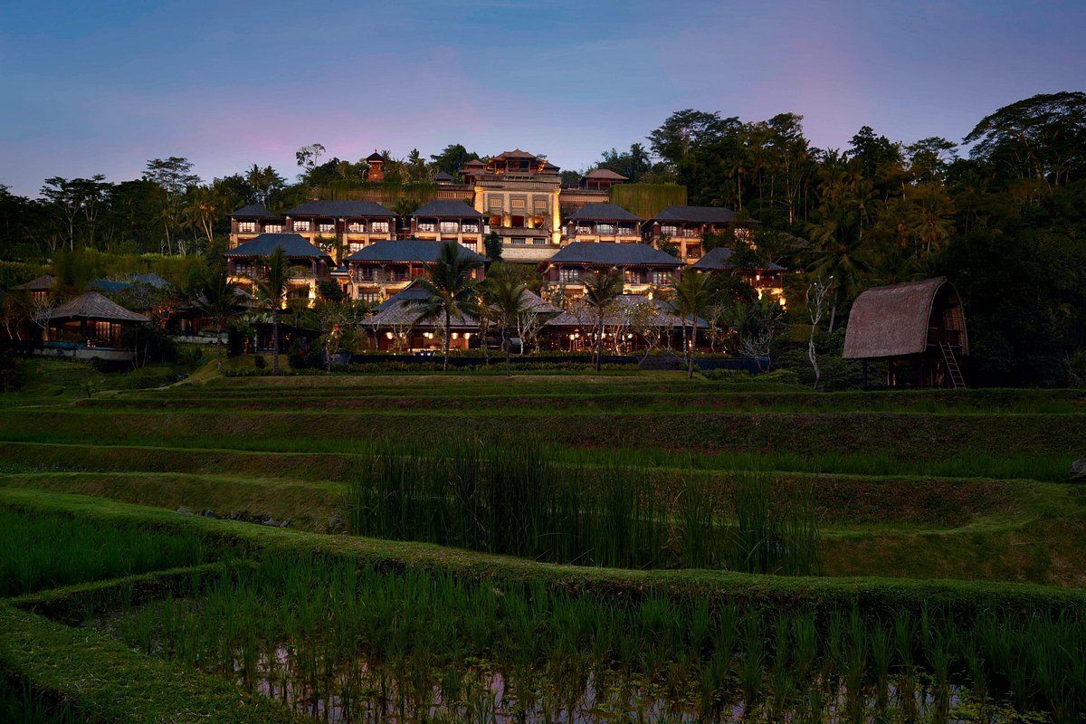 A large building is surrounded by rice fields and trees.