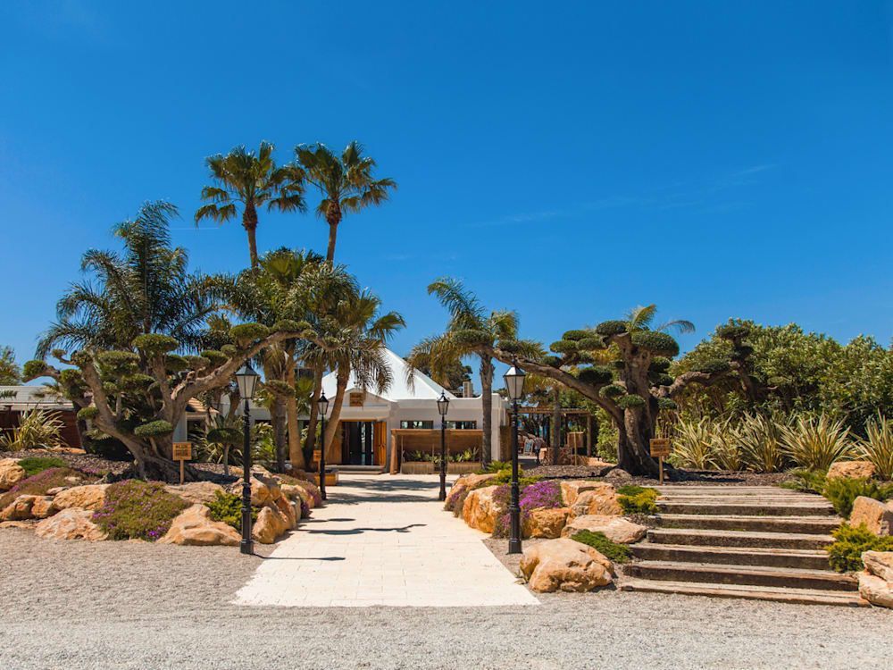 A white tent is sitting in the middle of a lush green garden surrounded by palm trees.