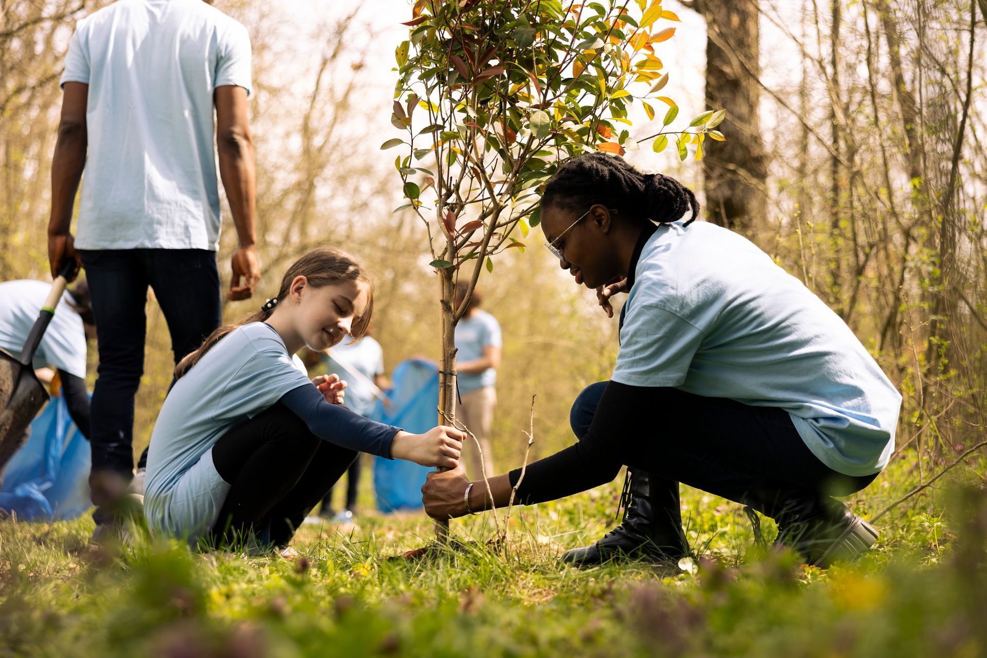 People planting a tree in a grassy area, wearing matching light blue shirts.