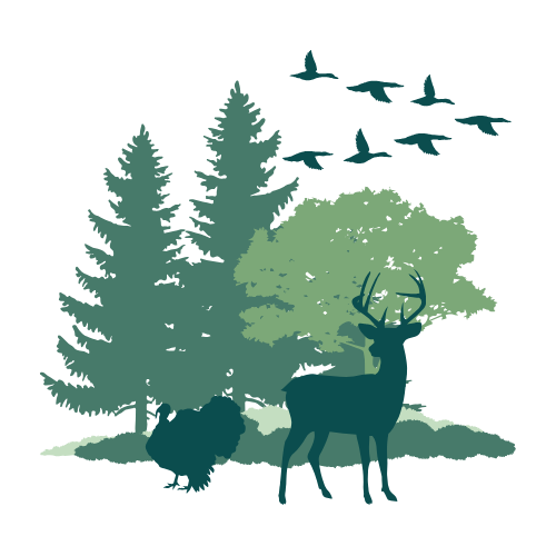 wildlife management illustration