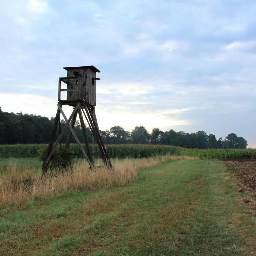 A small wooden tower in the middle of a field