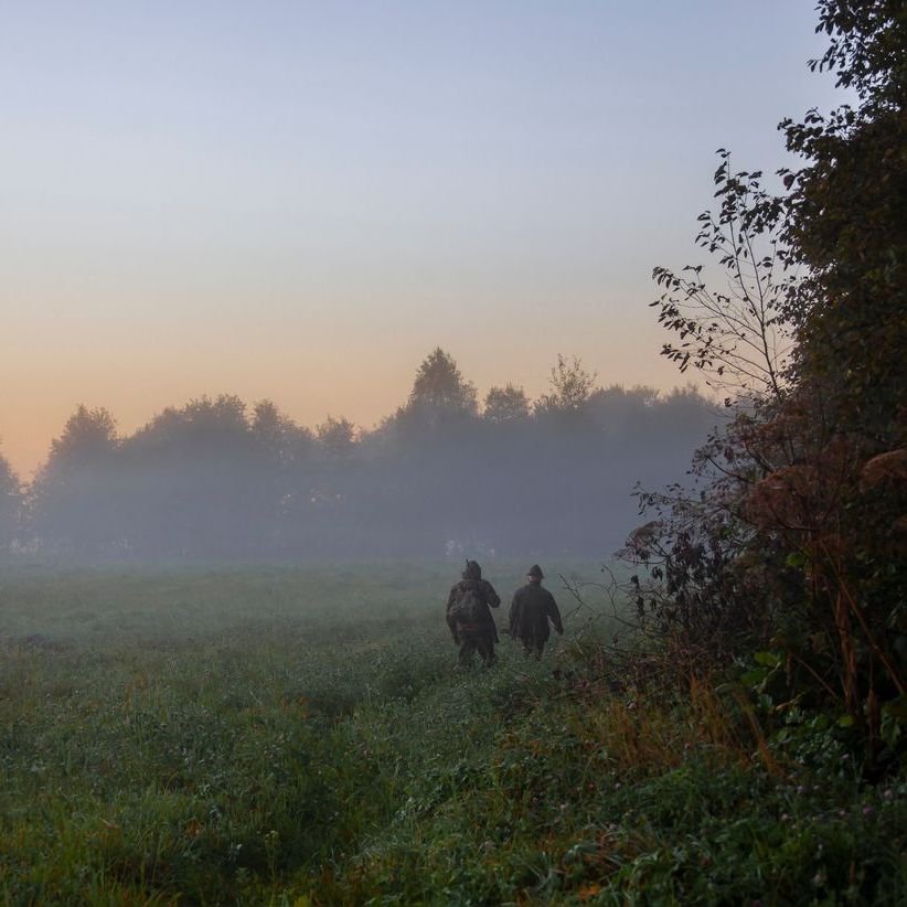 Two people are walking through a foggy field