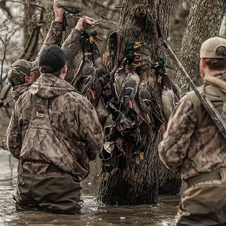 A group of men are kneeling in the water with ducks hanging from a tree.