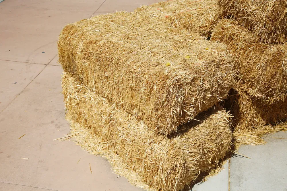 Hay bales stacked outdoors on a concrete surface, tan color. — NQ Stockfeeds & Farm Supplies In Daintree, QLD