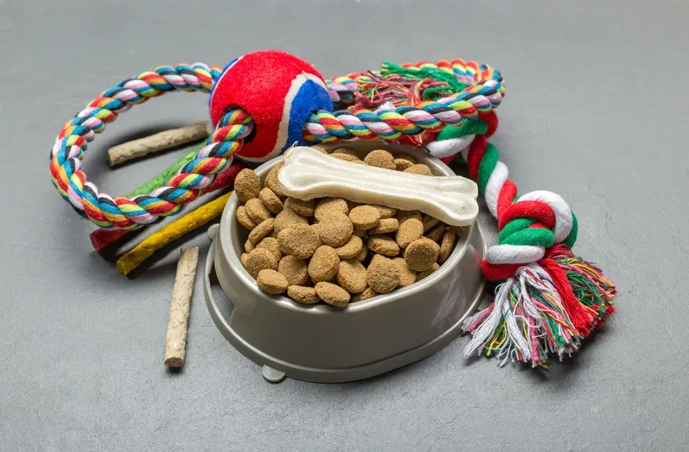 Dog food bowl with kibble and a bone-shaped treat, surrounded by rope toys and chew sticks. — NQ Stockfeeds & Farm Supplies In Mossman, QLD
