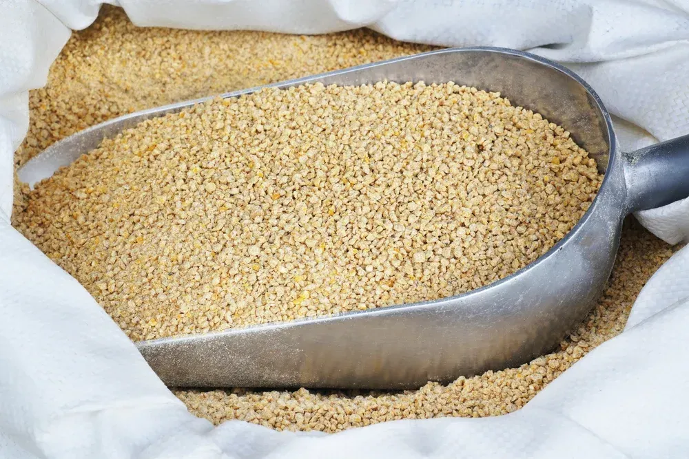 A metal scoop filled with brown animal feed sits in an open white bag. — NQ Stockfeeds & Farm Supplies In Mossman, QLD