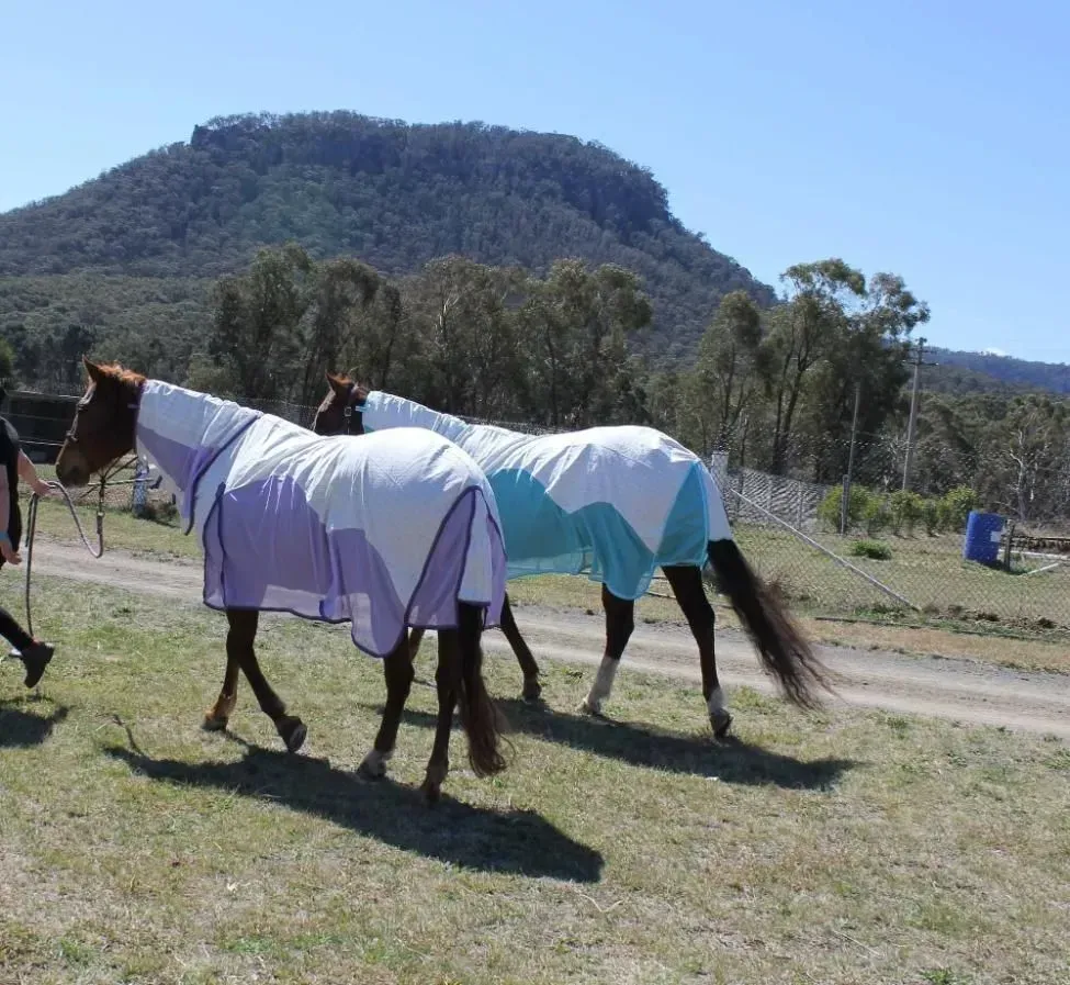 Two Horses Wearing Protective Blankets — NQ Stockfeeds & Farm Supplies In Atherton, QLD