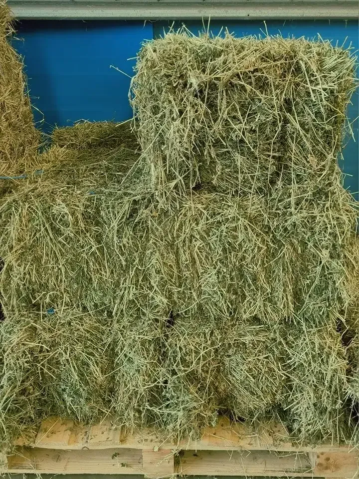 Hay Bales Stacked on a Wooden Pallet — NQ Stockfeeds & Farm Supplies In Yorkeys Knob, QLD