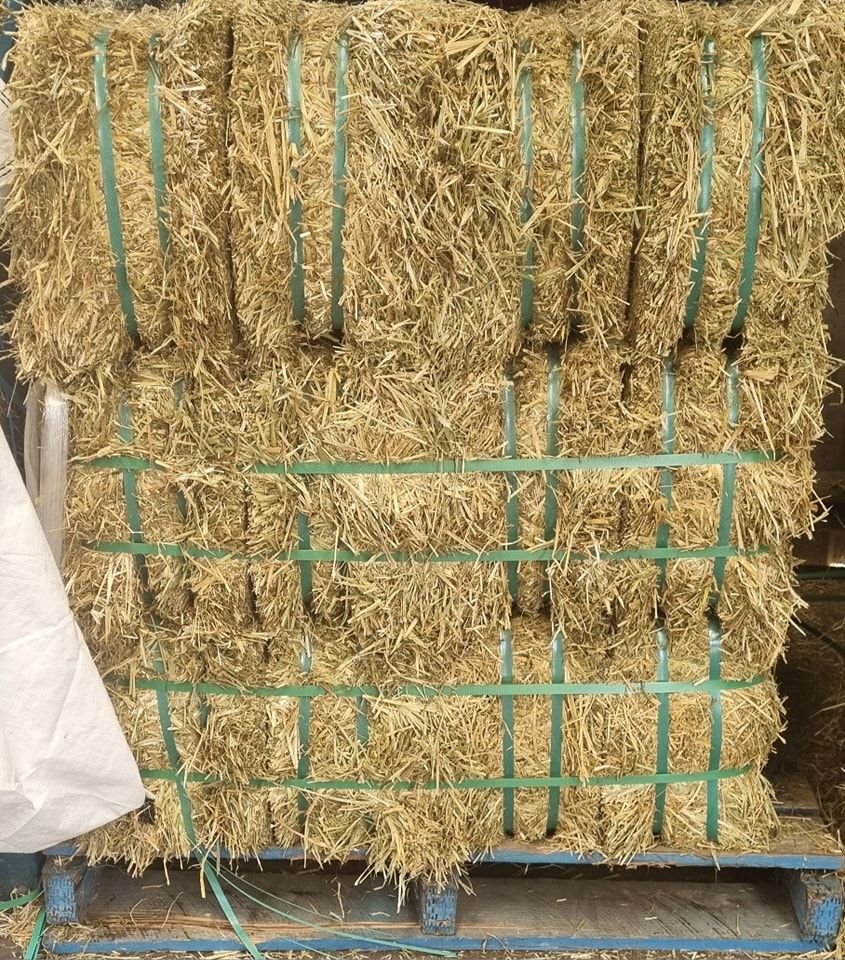 Hay Bales Stacked on a Pallet — NQ Stockfeeds & Farm Supplies In Atherton, QLD