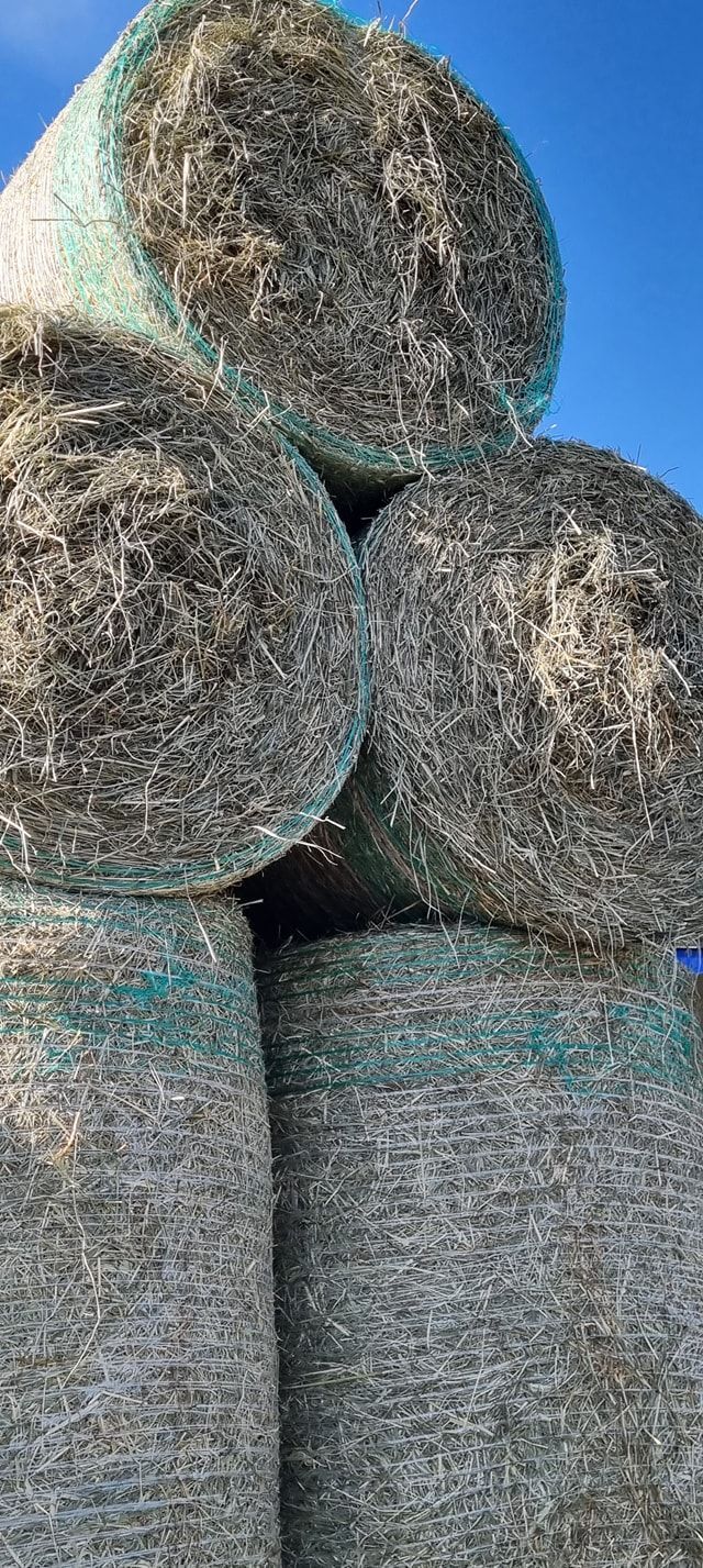 Close-up of a Stack of Round Hay Bales — NQ Stockfeeds & Farm Supplies In Mossman, QLD