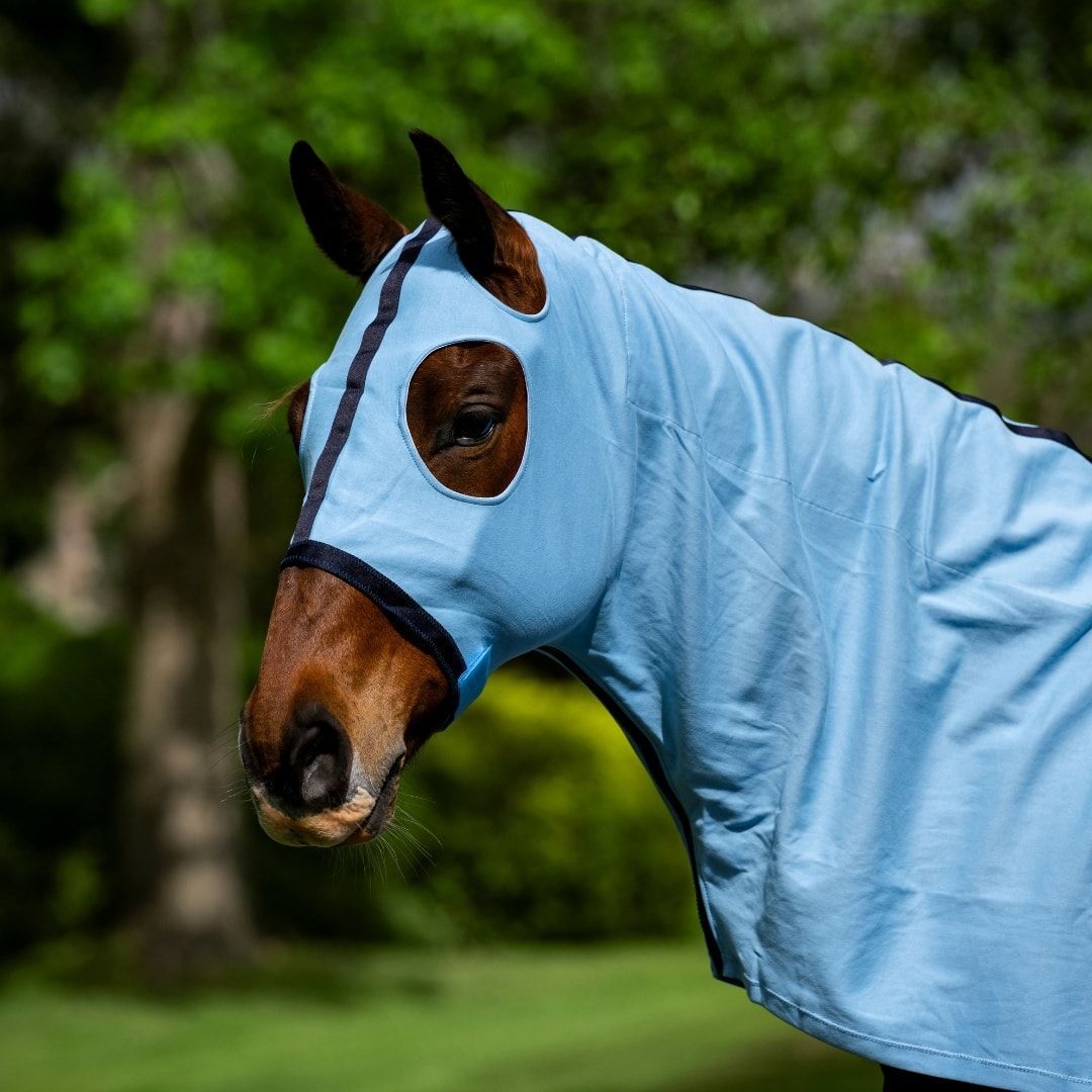 Horse Wearing a Light Blue Hood With Eye Holes, Standing Outdoors — NQ Stockfeeds & Farm Supplies In Yorkeys Knob, QLD