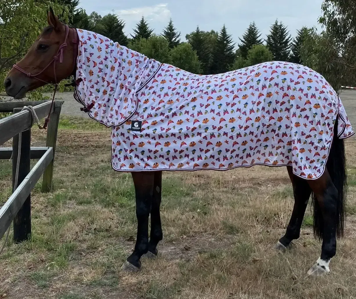Horse Wearing a Patterned Blanket and Hood — NQ Stockfeeds & Farm Supplies In Atherton, QLD